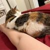 tracylzclimbs